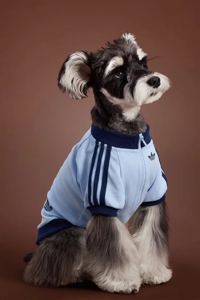 adidas originals mascotas 03