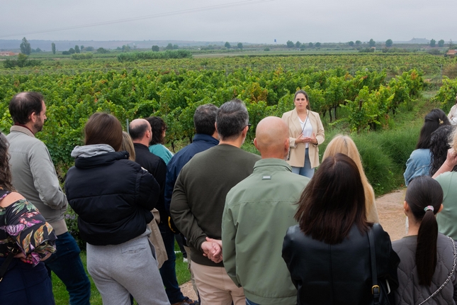 Bodegas Corral 4
