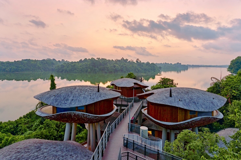El hotel que es una trepadora más